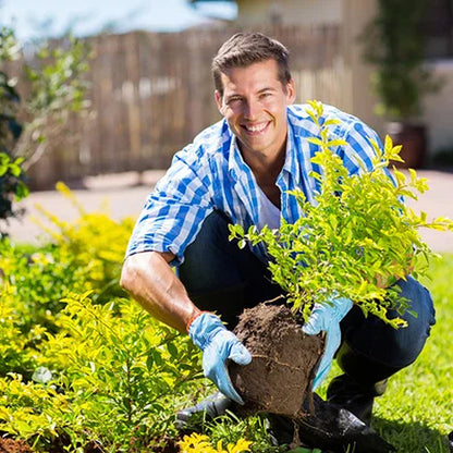 ⏰ Limited Time Deal 60% OFF🔥 Soil Pro Activator 🌱 Revive Your Soil, Boost Plant Growth Naturally