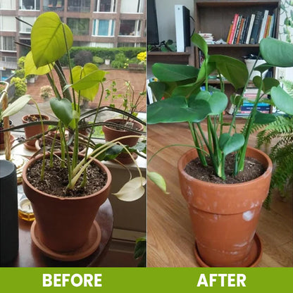 ⏰ Limited Time Deal 60% OFF🔥 Soil Pro Activator 🌱 Revive Your Soil, Boost Plant Growth Naturally
