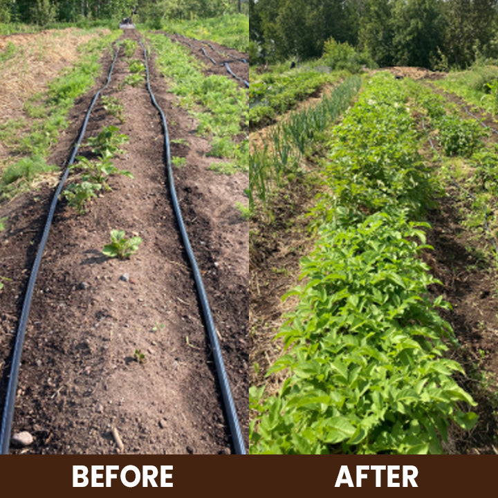 ⏰ Limited Time Deal 60% OFF🔥 Soil Pro Activator 🌱 Revive Your Soil, Boost Plant Growth Naturally