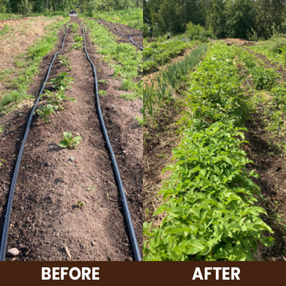 ⏰ Sale 60% OFF🔥 Soil Pro Activator 🌱 Revive Your Soil, Boost Plant Growth Naturally
